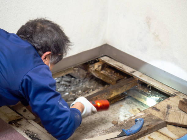 Best Crawl Space Mold Removal  in Inverness, CA
