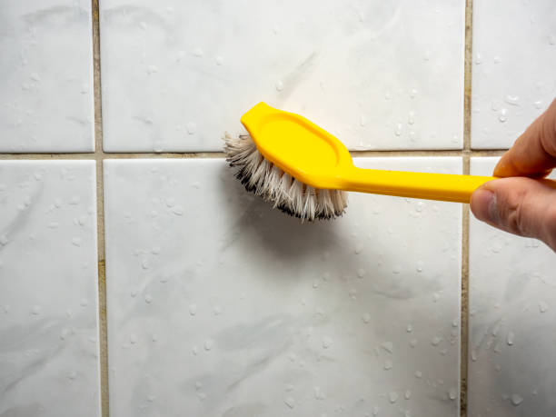 Best Certified Mold Removal  in Inverness, CA