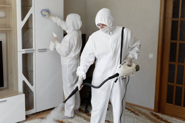 Best Fast Mold Removal  in Inverness, CA