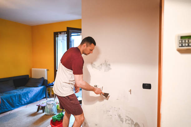 Best Professional Mold Removal  in Inverness, CA