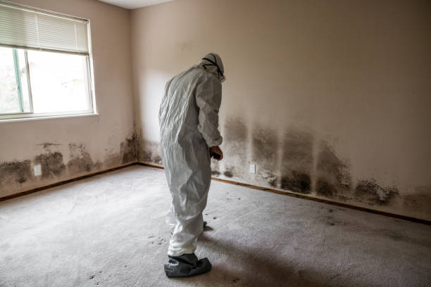 Best Mold Testing  in Inverness, CA