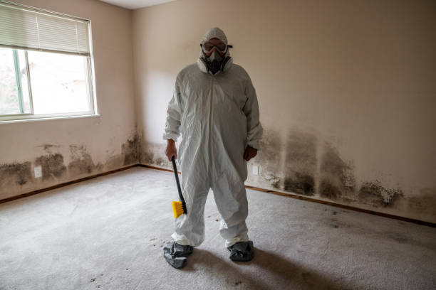 Best Mold Remediation  in Inverness, CA